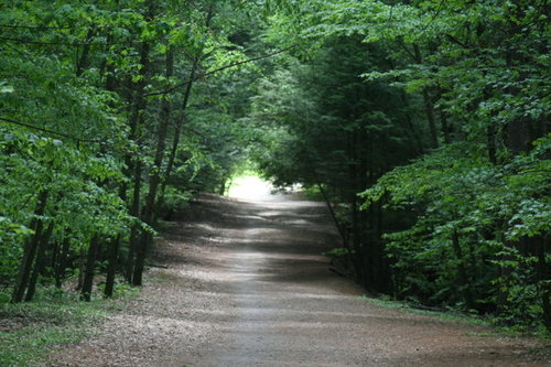 Rainy Marathon Trail