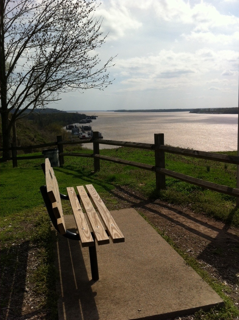 Vew of the Mississippi from the race course