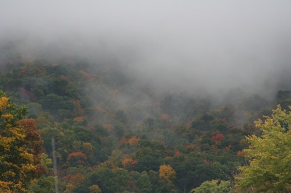 Dem Dare is da Smokey Mountians